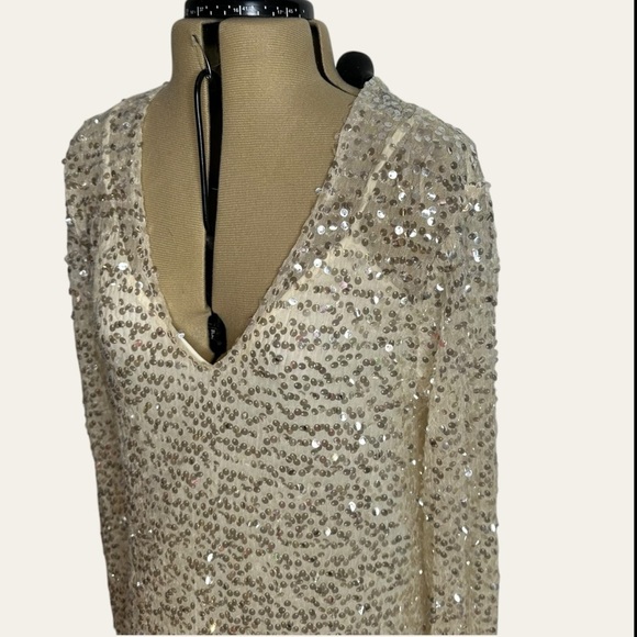 Zara champagne sequence maxi dress - Picture 6 of 16